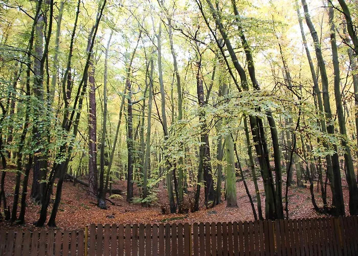 Lesny Vandrerhjem Sopot